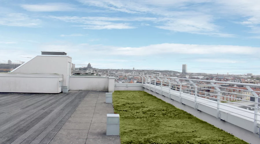 EOLIS - level 10 + roof terrace